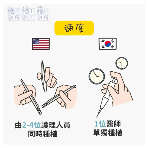 美式植髮,韓式植髮,植髮筆,楊氏羅丹,植髮